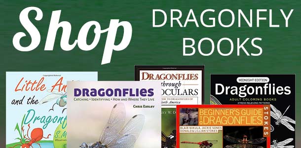 Dragonfly Book Store