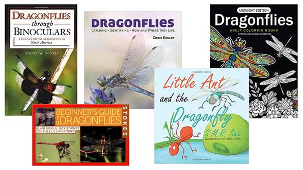 Dragonfly Books